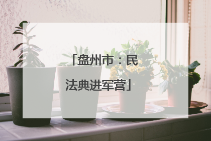 盘州市：民法典进军营