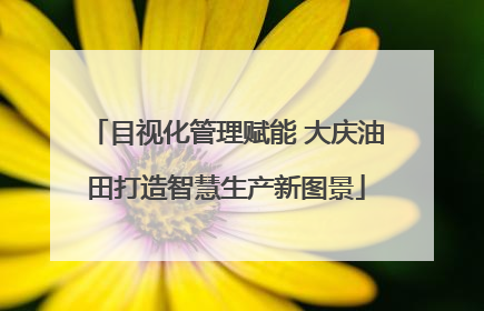 目视化管理赋能 大庆油田打造智慧生产新图景