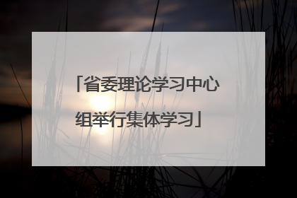 省委理论学习中心组举行集体学习