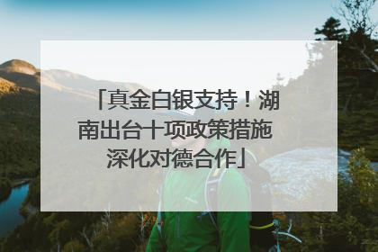 真金白银支持！湖南出台十项政策措施深化对德合作
