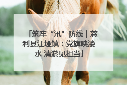 筑牢“汛”防线｜慈利县江垭镇：党旗映溇水 清淤见担当