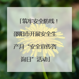 筑牢安全防线！邵阳市开展安全生产月“安全宣传咨询日”活动