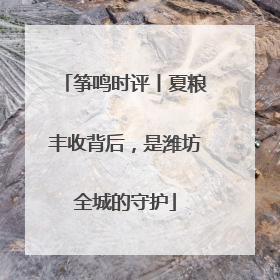 筝鸣时评丨夏粮丰收背后，是潍坊全城的守护
