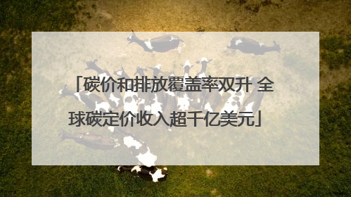 碳价和排放覆盖率双升 全球碳定价收入超千亿美元