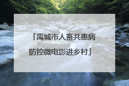 禹城市人畜共患病防控微电影进乡村