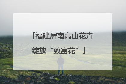 福建屏南高山花卉绽放“致富花”
