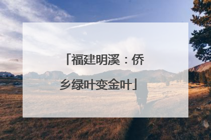 福建明溪：侨乡绿叶变金叶