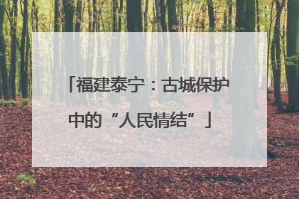 福建泰宁：古城保护中的“人民情结”
