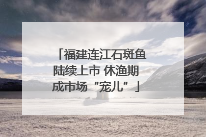 福建连江石斑鱼陆续上市 休渔期成市场“宠儿”