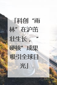 科创“雨林”在沪茁壮生长，“硬核”成果吸引全球目光