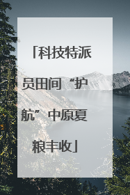 科技特派员田间“护航”中原夏粮丰收