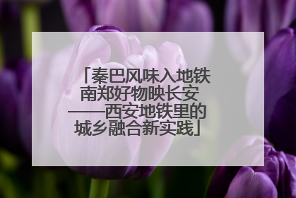秦巴风味入地铁 南郑好物映长安——西安地铁里的城乡融合新实践