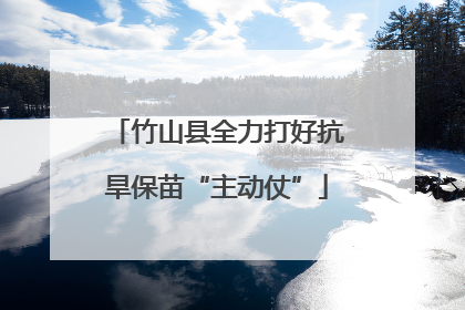 竹山县全力打好抗旱保苗“主动仗”
