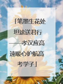 笔墨生花处 坦途送君行——孝汉应高速暖心护航高考学子