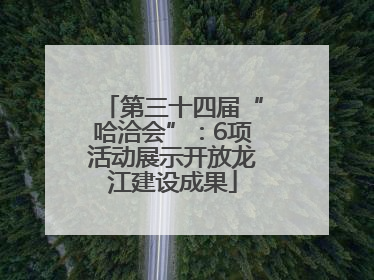 第三十四届“哈洽会”：6项活动展示开放龙江建设成果