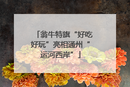 翁牛特旗“好吃好玩”亮相通州“运河西岸”