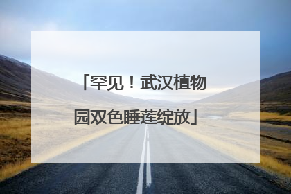 罕见！武汉植物园双色睡莲绽放