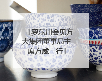 罗东川会见方大集团董事局主席方威一行