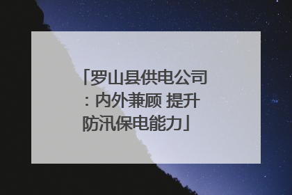 罗山县供电公司：内外兼顾 提升防汛保电能力