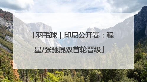 羽毛球｜印尼公开赛：程星/张驰混双首轮晋级