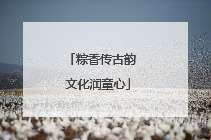 粽香传古韵 文化润童心