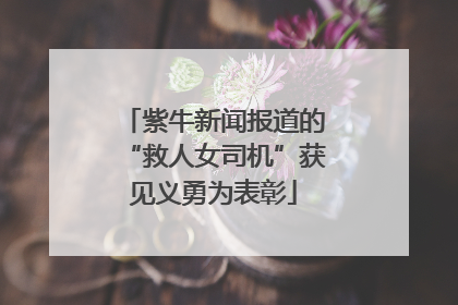 紫牛新闻报道的“救人女司机”获见义勇为表彰