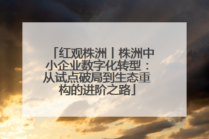 红观株洲丨株洲中小企业数字化转型：从试点破局到生态重构的进阶之路