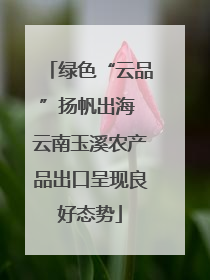 绿色“云品”扬帆出海 云南玉溪农产品出口呈现良好态势