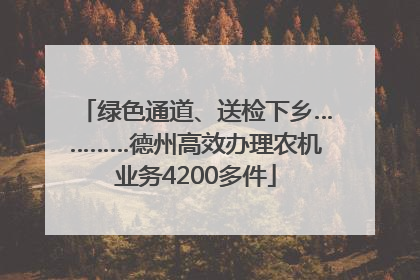 绿色通道、送检下乡…………德州高效办理农机业务4200多件