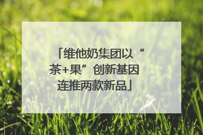 维他奶集团以“茶+果”创新基因连推两款新品