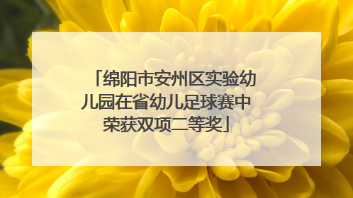 绵阳市安州区实验幼儿园在省幼儿足球赛中荣获双项二等奖