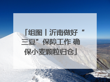 组图丨沂南做好“三夏”保障工作 确保小麦颗粒归仓