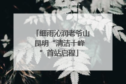 细雨沁润老爷山 昆明“清洁十峰”首站启程