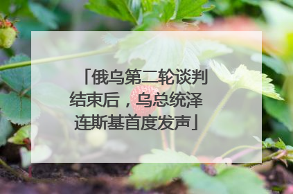 俄乌第二轮谈判结束后，乌总统泽连斯基首度发声