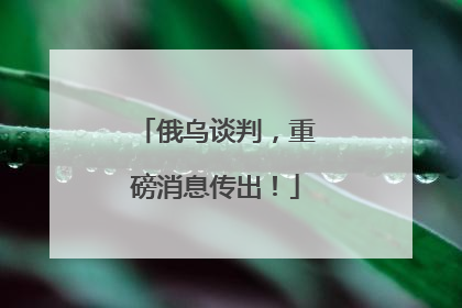 俄乌谈判，重磅消息传出！