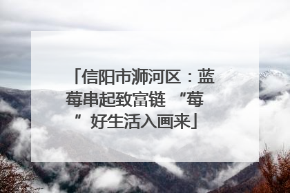 信阳市浉河区：蓝莓串起致富链 “莓”好生活入画来
