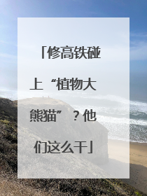 修高铁碰上“植物大熊猫”？他们这么干