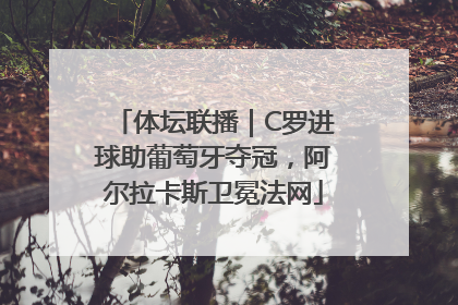 体坛联播｜C罗进球助葡萄牙夺冠，阿尔拉卡斯卫冕法网