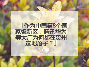 作为中国第8个国家级新区,腾讯华为等大厂为何都在贵州这地落子?