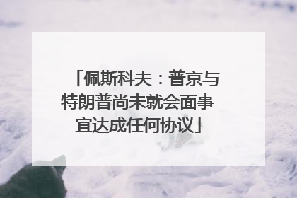 佩斯科夫：普京与特朗普尚未就会面事宜达成任何协议