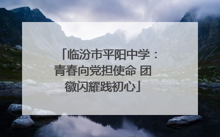 临汾市平阳中学：青春向党担使命 团徽闪耀践初心