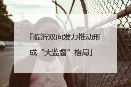 临沂双向发力推动形成“大监督”格局