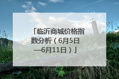 临沂商城价格指数分析（6月5日—6月11日）