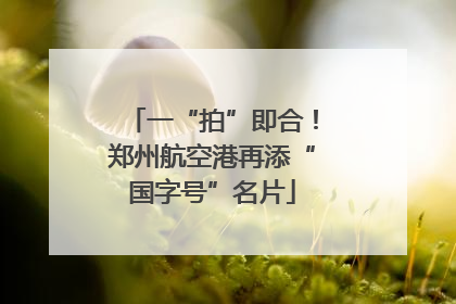 一“拍”即合！郑州航空港再添“国字号”名片