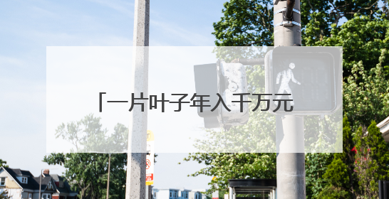 一片叶子年入千万元？这个日照青年的创业故事藏着答案！