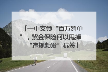 一中支领“百万罚单”，紫金保险何以甩掉“违规频发”标签