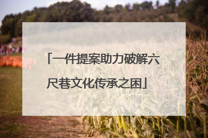 一件提案助力破解六尺巷文化传承之困