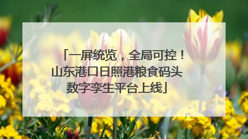 一屏统览，全局可控！山东港口日照港粮食码头数字孪生平台上线