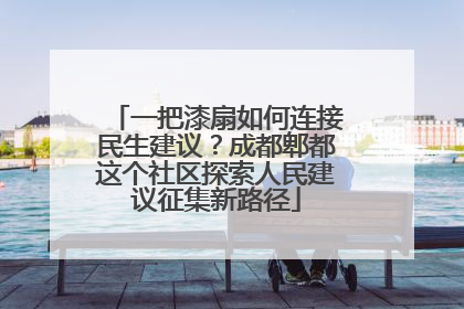 一把漆扇如何连接民生建议？成都郫都这个社区探索人民建议征集新路径