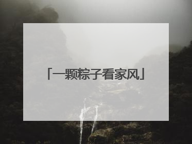 一颗粽子看家风